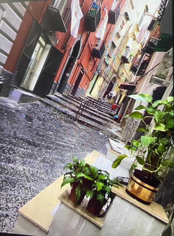 Casa Mari' Centro Storico Vicino Hotel Caracciolo 那不勒斯 外观 照片